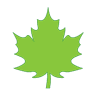 FereN logo